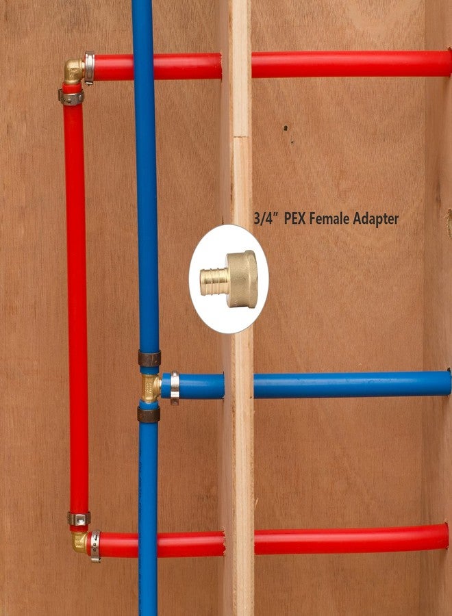 GUOFIS (Pack of 10) PEX 3/4" x 3/4" NPT Female Threaded Adapter,Brass Pex Crimp Adapters Fitting for PEX Pipes in Plumbing Jobs(PEX1807044) - Image 5